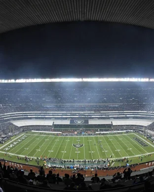 Minnesota Vikings Season Tickets (Includes Tickets To All Regular Season Home Games)