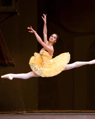 World Ballet Company: Swan Lake